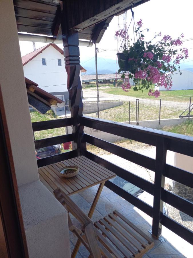 Casa Loredana Cartisoara Exterior foto