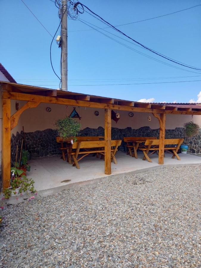 Casa Loredana Cartisoara Exterior foto