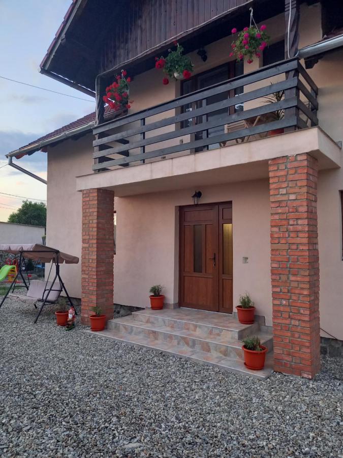 Casa Loredana Cartisoara Exterior foto